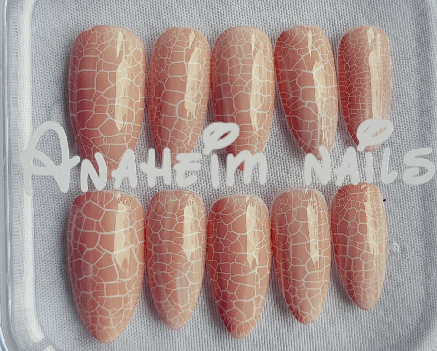 Création Nail Art – Dragon Rose Poudré : La Douceur Sauvage